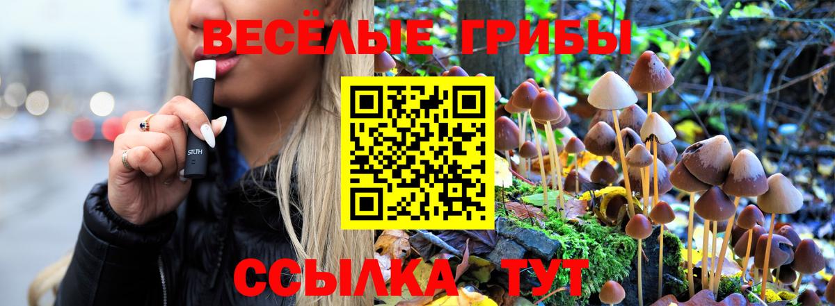 Псилоцибиновые грибы Magic Shrooms Можга